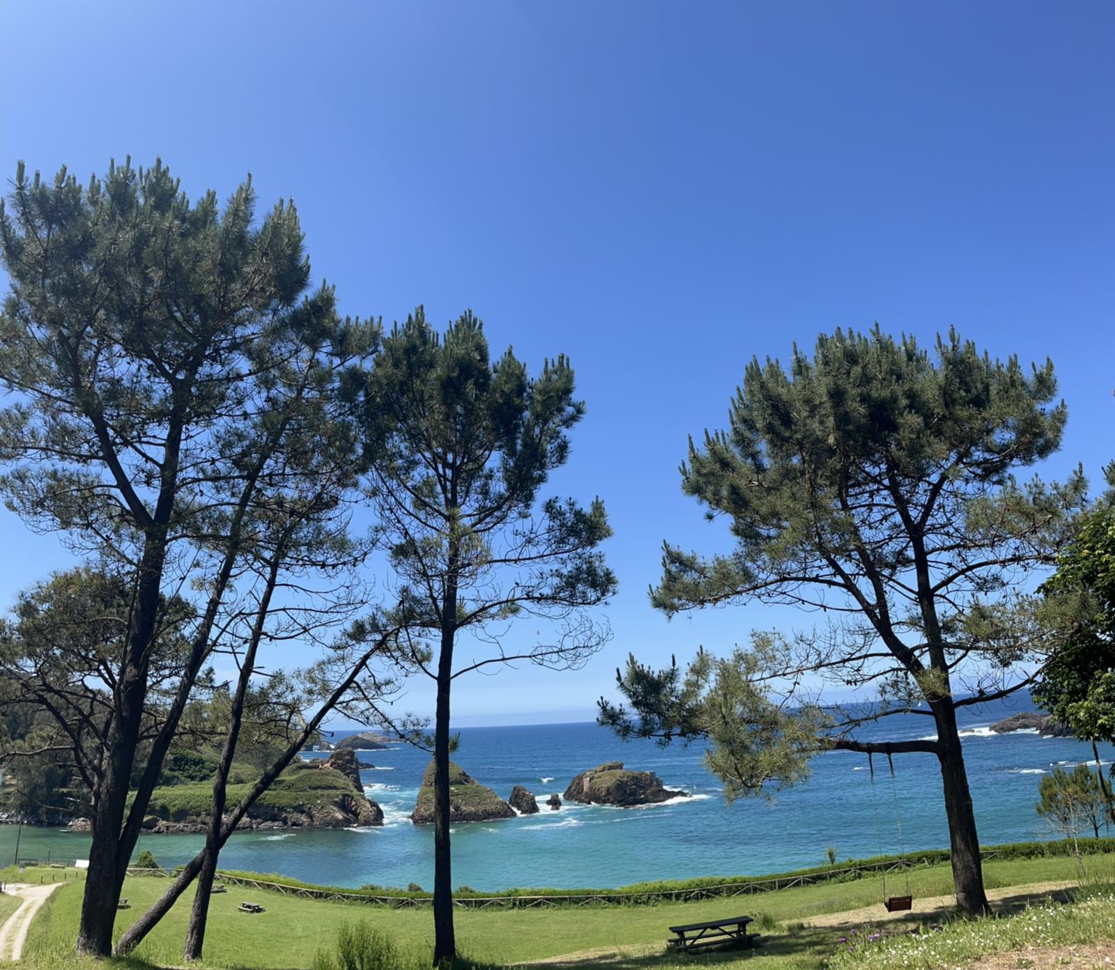 Plato con vistas al mar